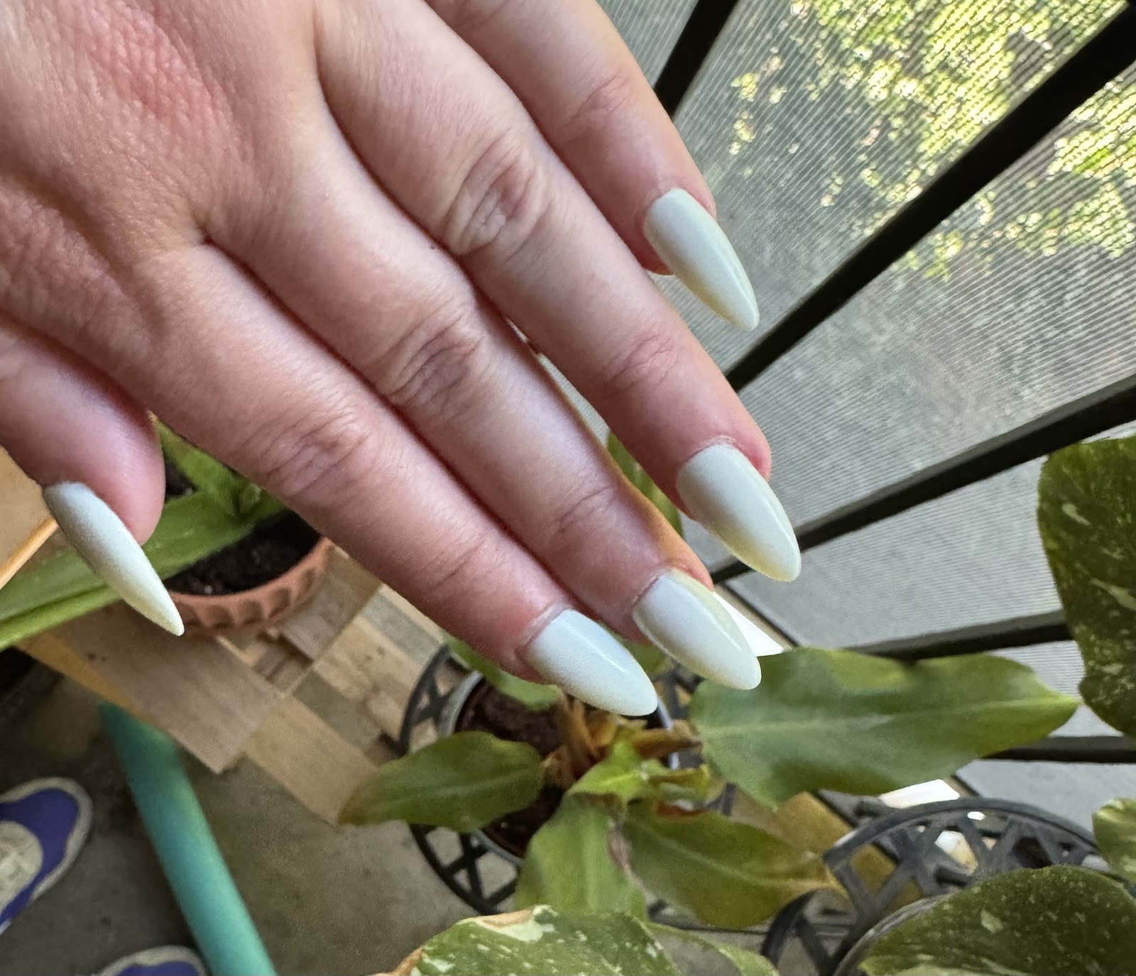 SPARKLE NAILS nail photo 3